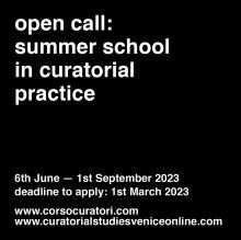 Open call: summer school in curatorial studies at the venice biennale